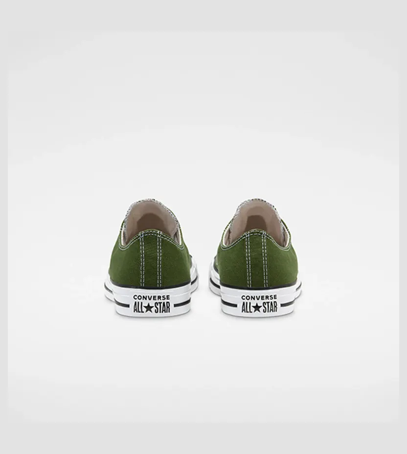 converse-chuck-taylor-all-star 166711C