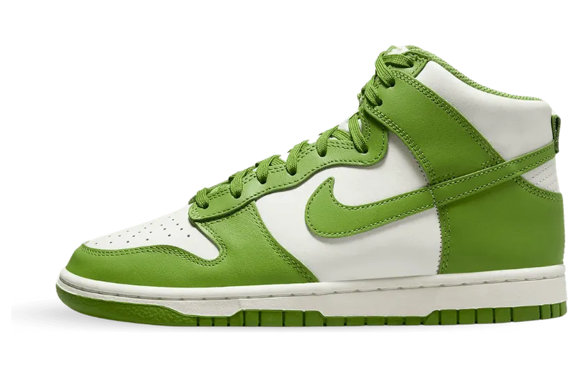 nike-dunk DD1869-300