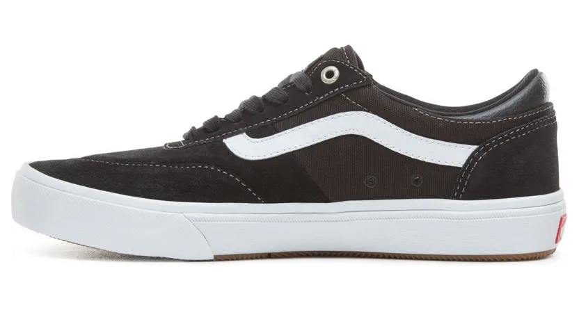 vans-gilbert-crockett VN0A38COY28