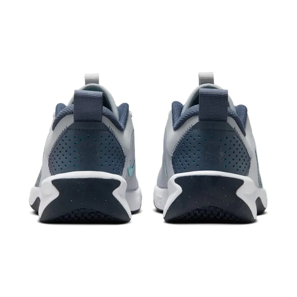 Nike Omni Multi-Court Wolf Grey Bright Crimson Dusty Cactus Thunder Blue (DM9027-010)