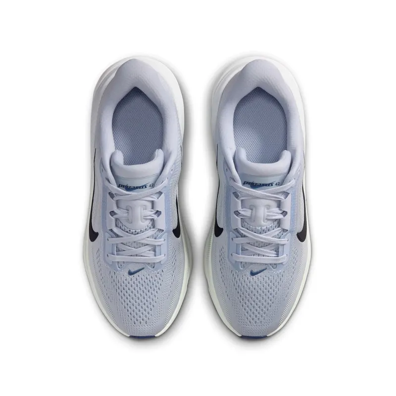 Nike Pegasus Football Grey/Football Grey/Barely Green/Blue Void (IH2306-004)