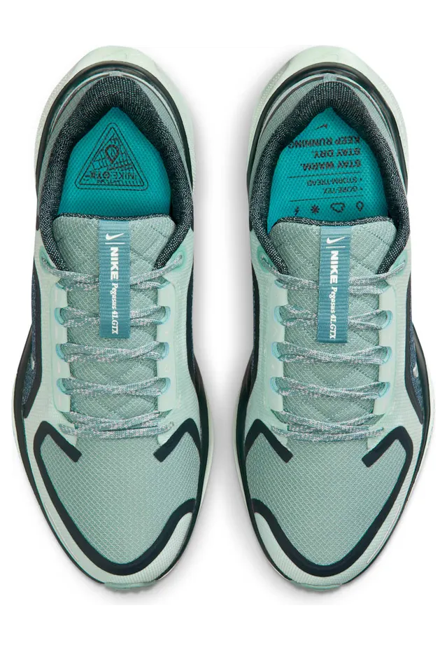 nike-air-pegasus FQ1357-003