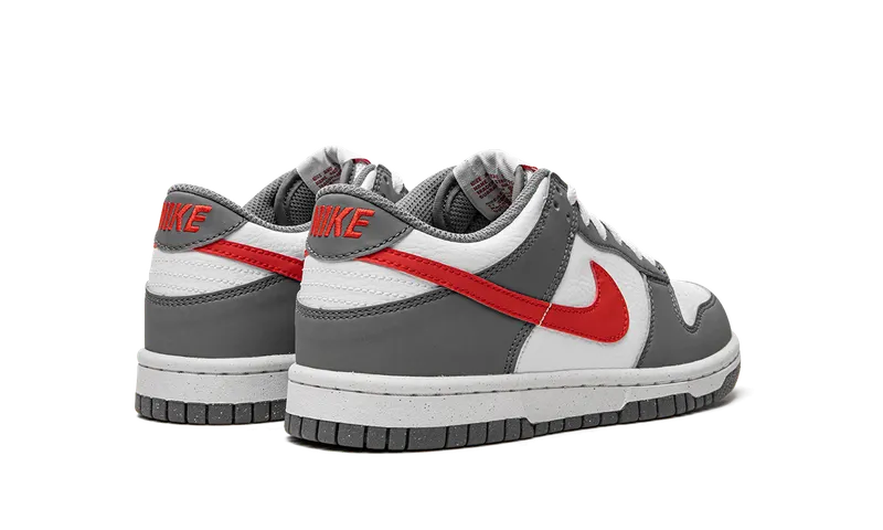 Nike Dunk Low Next Nature GS “Smoke Grey” (FB8038-001)