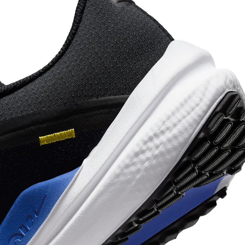 Nike Winflo 10 Black (DV4022-005)