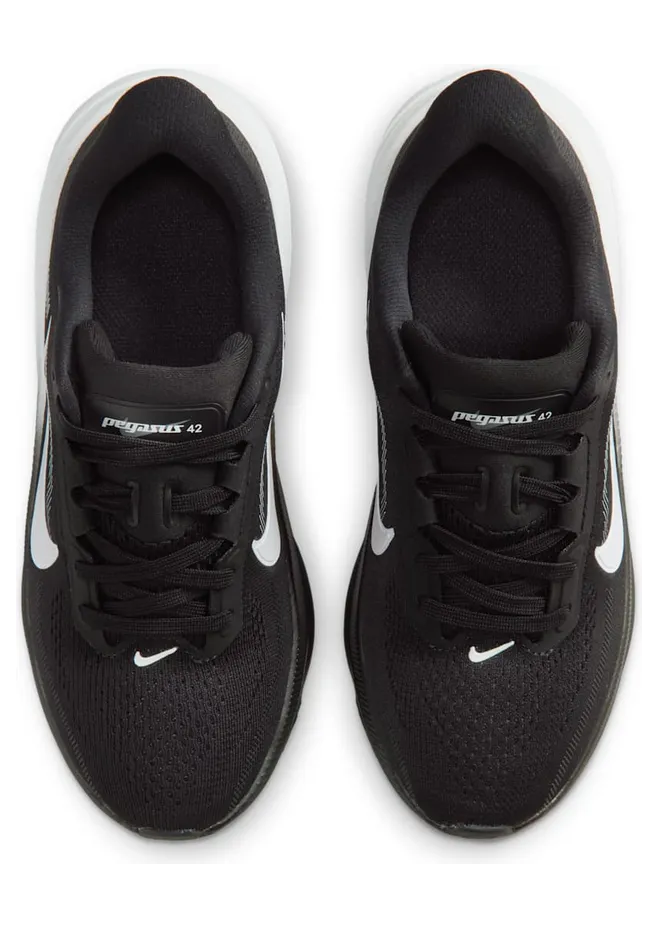 nike-air-pegasus IH2306-002