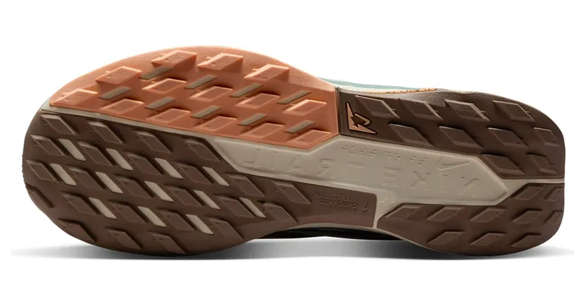 nike-air-pegasus DV3865-010