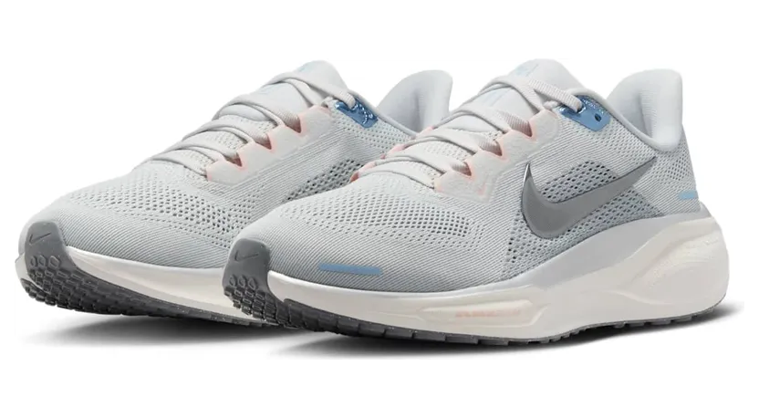 nike-air-pegasus FD2723-007