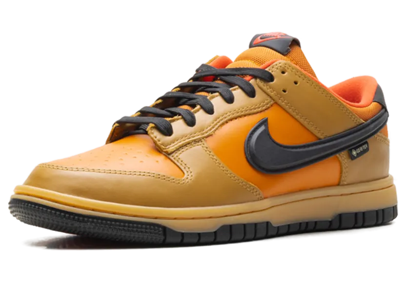 nike-dunk HQ2053-700