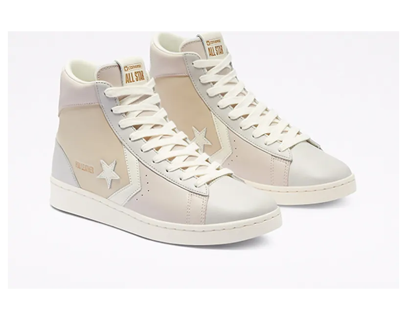 converse-pro-leather 169703C