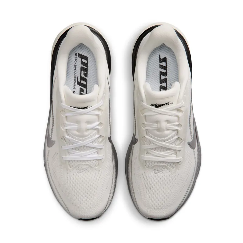Nike Pegasus Summit White/Sail/Black/Metallic Silver (IR0298-100)