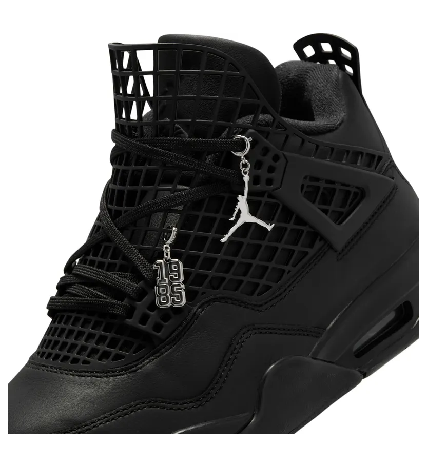 air-jordan-4 FN7251-001