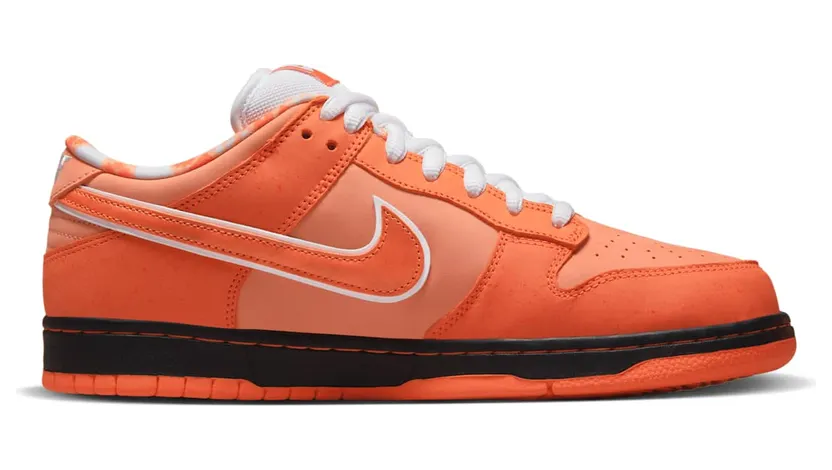 nike-dunk-sb FD8776-800