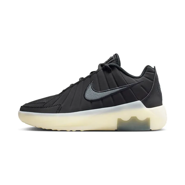 Nike LeBron Witness 9 Black Coconut Milk Iron Grey (HV2270-001)