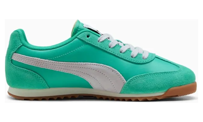 puma-arizona 39868230
