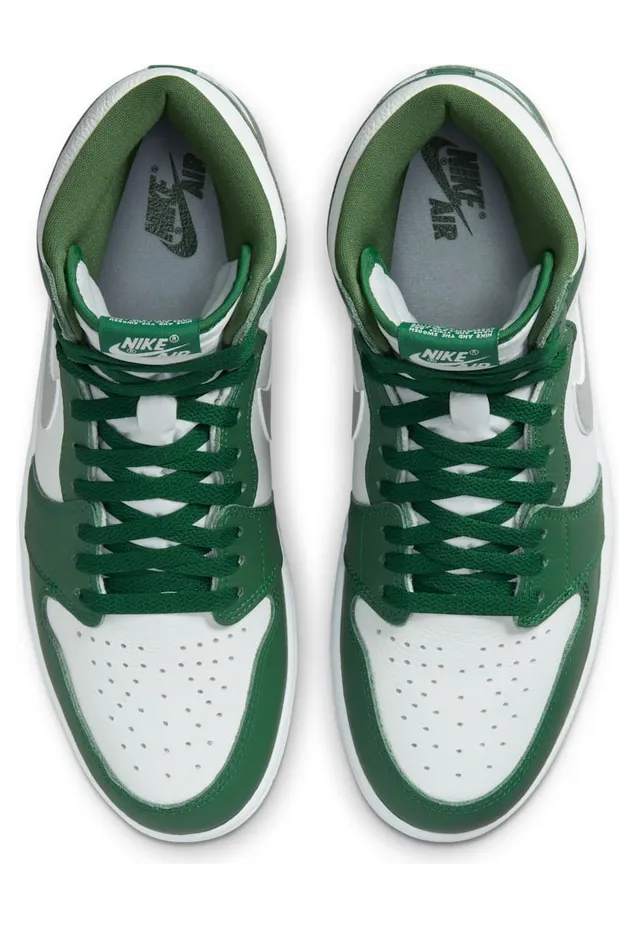 air-jordan-1 DZ5485-303