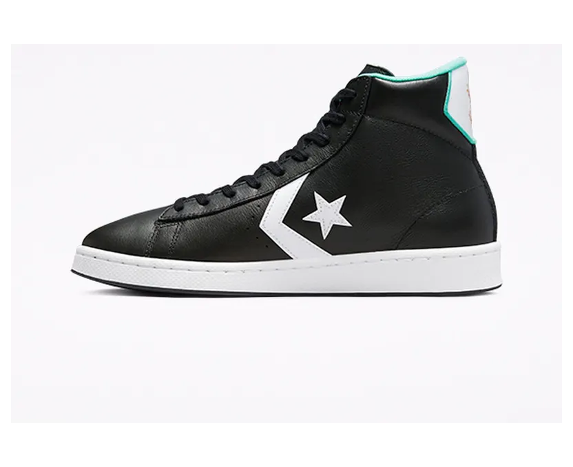 converse-pro-leather 171313C