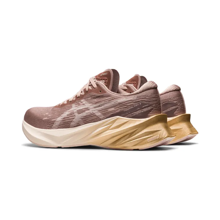 asics-novablast 1012B288.702