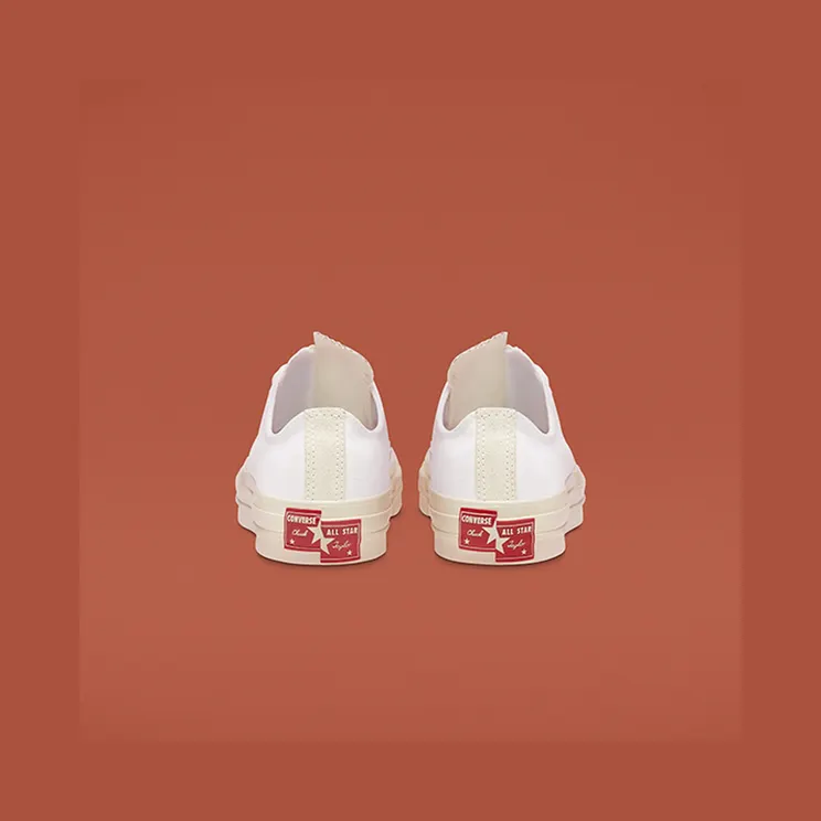 converse-chuck-taylor-all-star 168673C