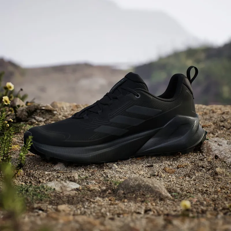 adidas Terrex Trailmaker 2 Gore Tex Hiking Core Black Grey Four Carbon (IH0618)