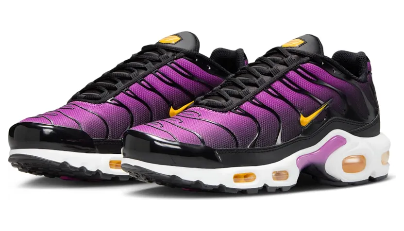 nike-air-max DZ3670-005