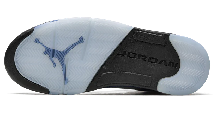 air-jordan-5 DV1310-401