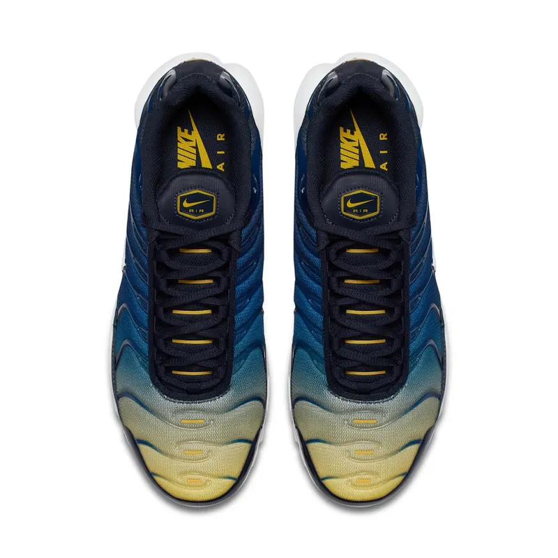 Nike Air Max Plus Gradient Pack (Obsidian) Obsidian/Gym Blue-Lemon Wash-White (852630-407)