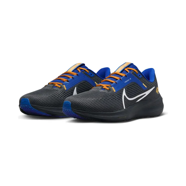 nike-air-pegasus DZ5958-001