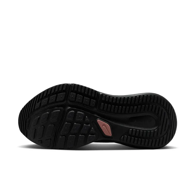 Nike Winflo 12 Black (HV9273-004)