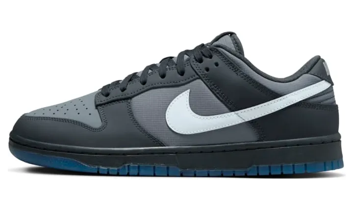 Nike Dunk – “Anthracite” (FV0384-001)