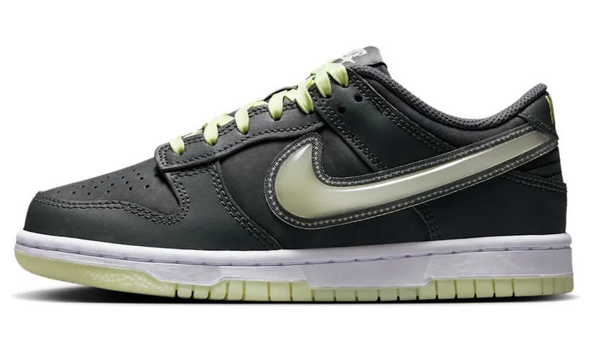 Nike Dunk Low HQ3569-068