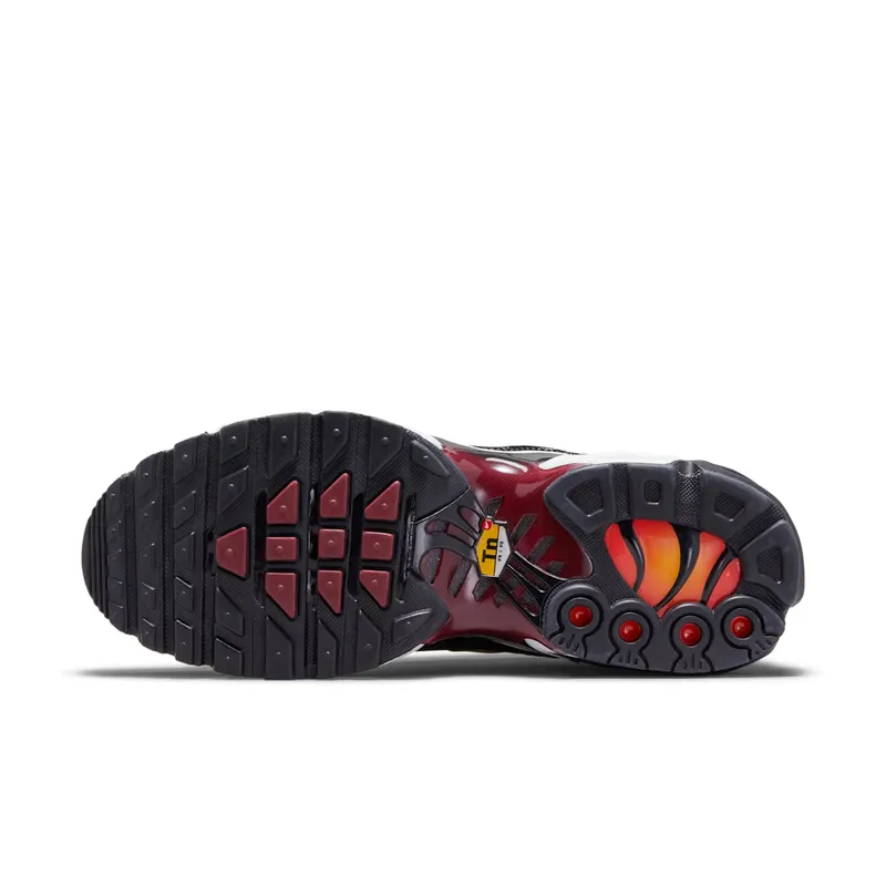 Nike Air Max Plus Sisterhood (W) (DO6115-500)