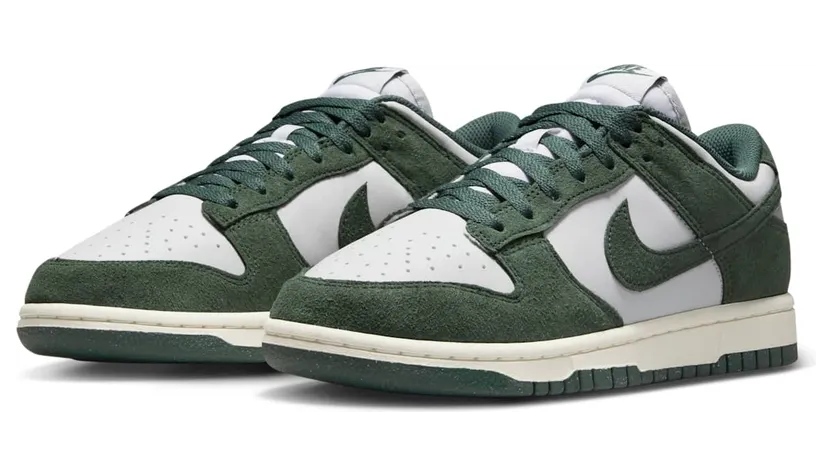 nike-dunk HJ7673-002