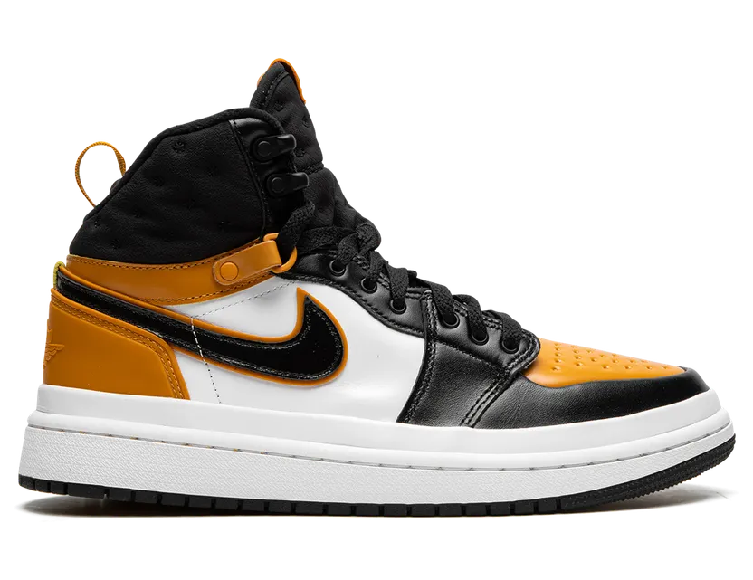 air-jordan-1 DC7723-701