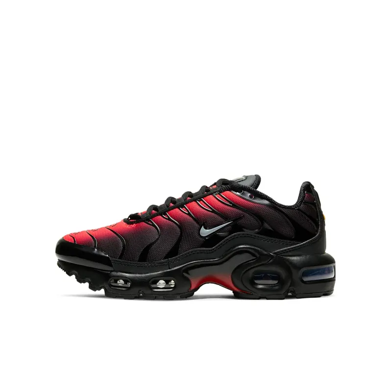 Nike Air Max Plus Black Crimson (DD3229-001)