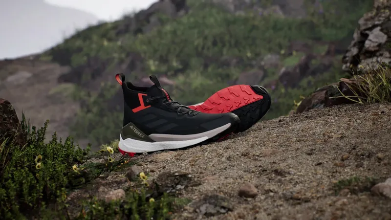 Adidas Terrex Free Hiker 2.0 GORE-TEX Hiking Carbon / Grey Six / Core Black (IH0669)