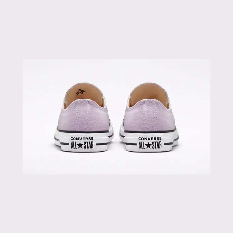 converse-chuck-taylor-all-star 172689C