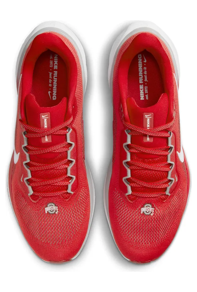 nike-air-zoom FZ5135-600