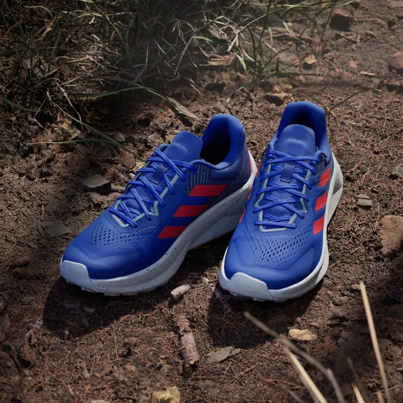 Adidas TERREX Soulstride Flow Trail Running Dash Grey / Pure Ruby / Semi Lucid Blue (JI1287)