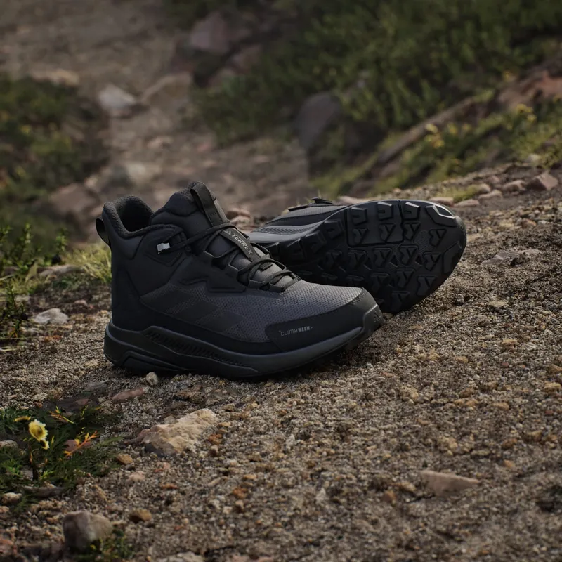 Adidas Terrex Anylander CLIMAWARM+ Hiking Shoes Carbon / Core Black / Grey Six (JH8777)