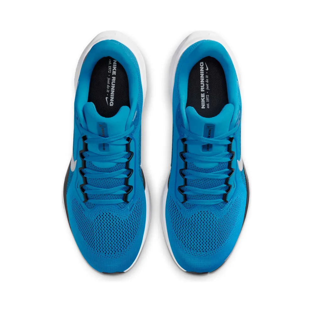 Nike Air Zoom Pegasus 41 Carolina Panthers (2025) (IB3211-400)