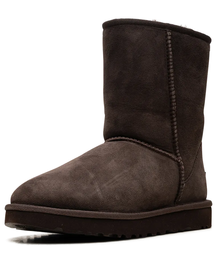 ugg-sneaker 1016223-BCDR