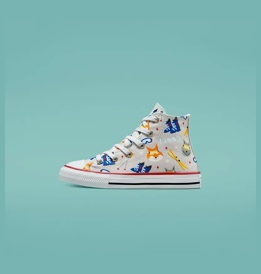 Converse Wolf Pack Chuck Taylor All Star Mouse/garnet/navy (672913C)