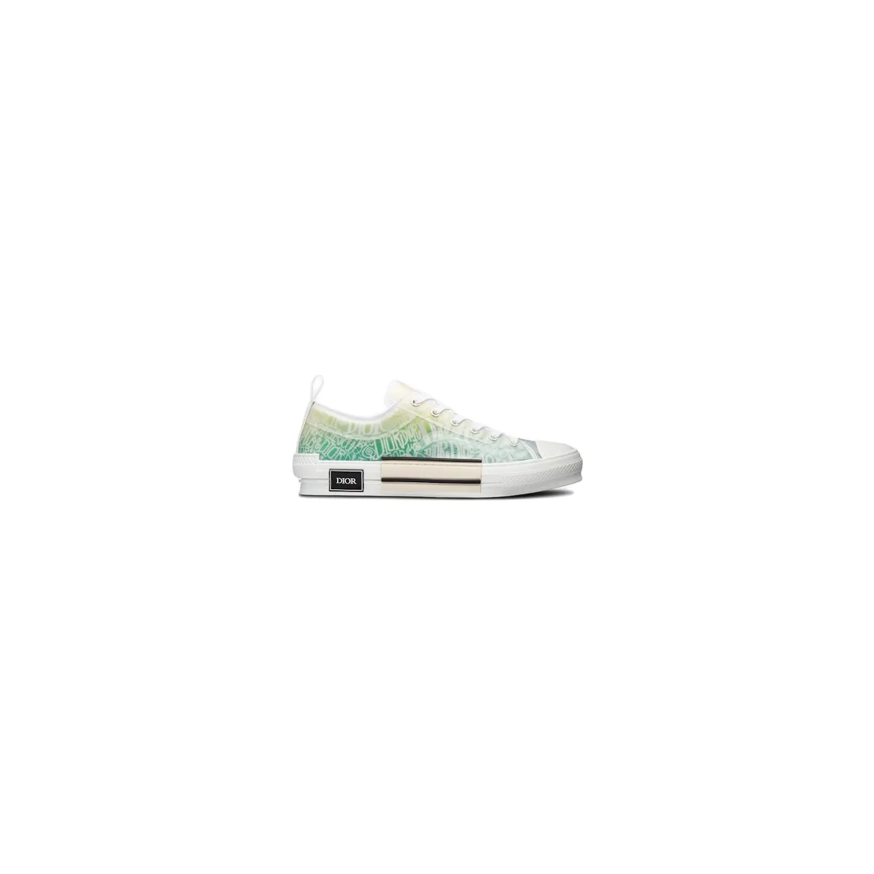 Dior And Shawn B23 Low Top