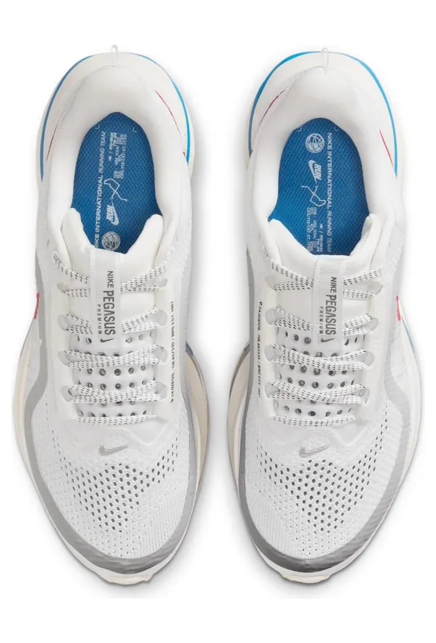 nike-air-pegasus IH7347-111