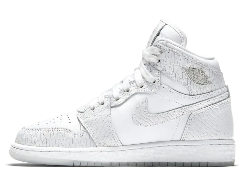 air-jordan-1 832596-100