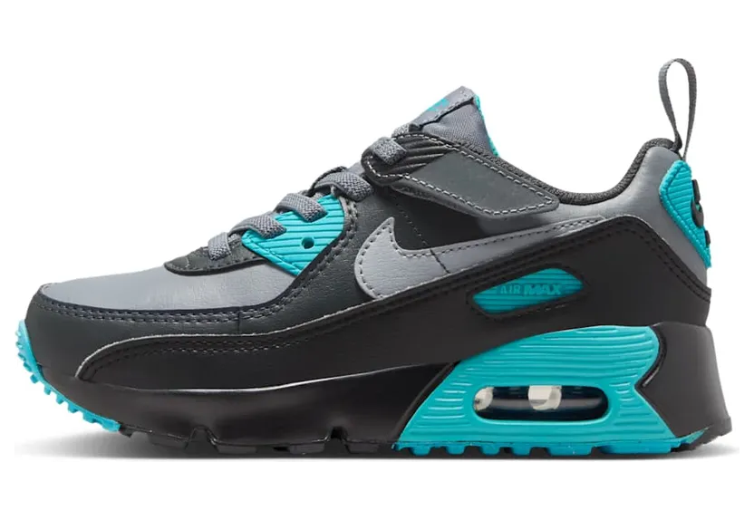 Nike Air Max 90 EasyOn Cool Grey Dusty Cactus Black Wolf Grey (IH1417-027)