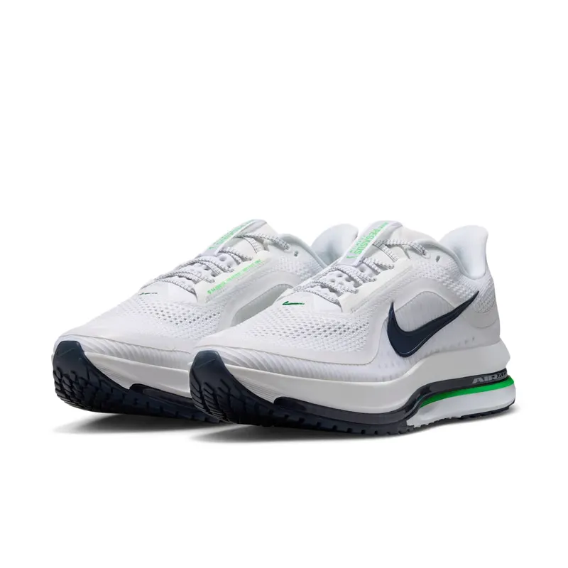 Nike Pegasus White/Midnight Navy/Green Spark (HQ2592-110)