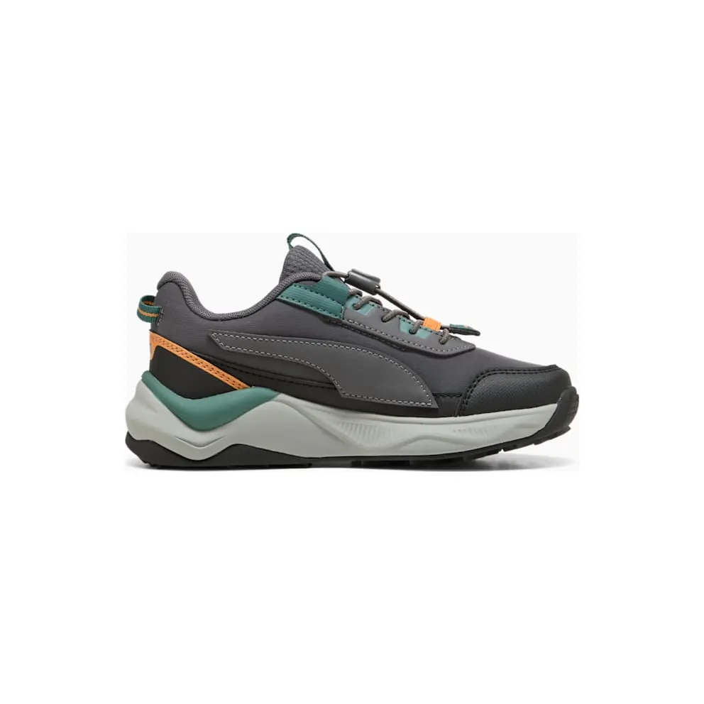 Puma sneaker Dark Grey (31380501)