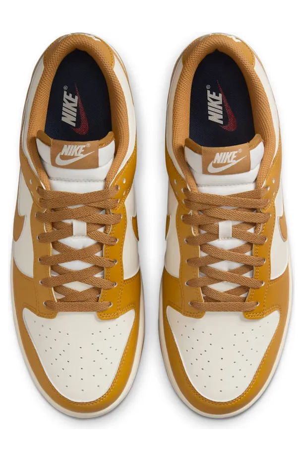 nike-dunk HF5441-108