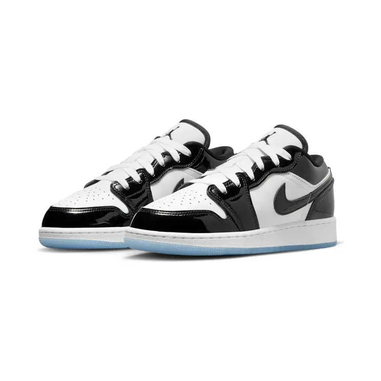air-jordan-1 DV1333-100